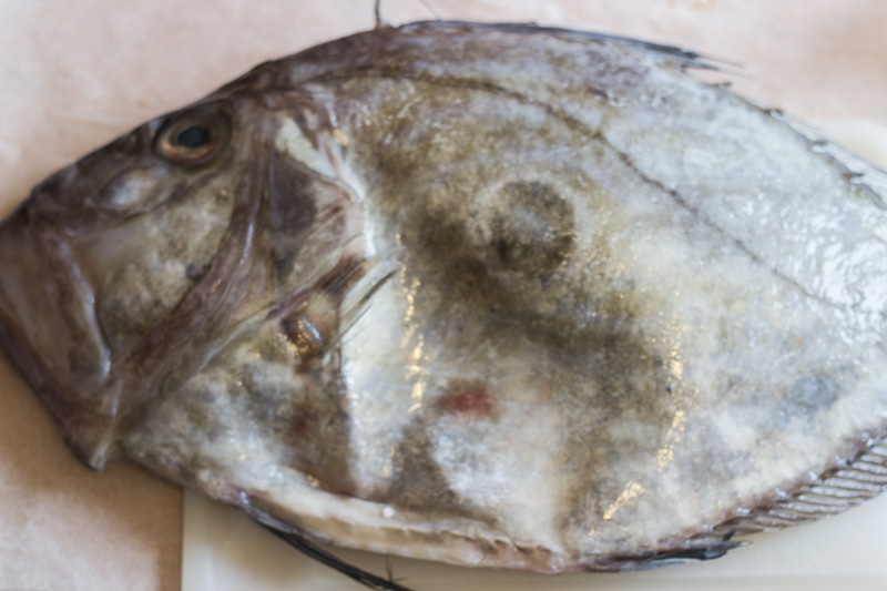 Dory fish fillet