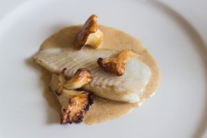 Turbot with chanterelle mushrooms